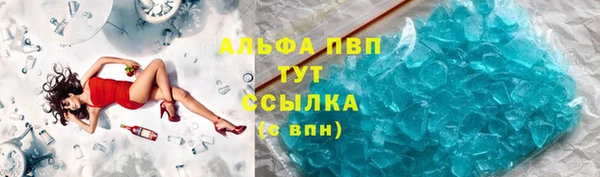 стафф Аркадак