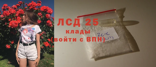 стаф Арсеньев