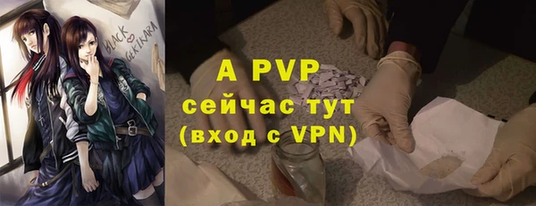 стаф Арсеньев