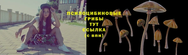 стафф Аркадак