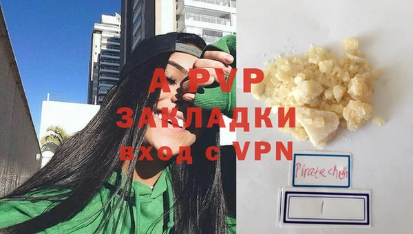 стафф Аркадак