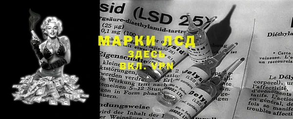 стаф Арсеньев