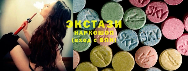 стаф Арсеньев