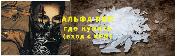 стафф Аркадак