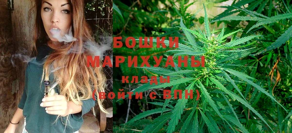 стаф Арсеньев